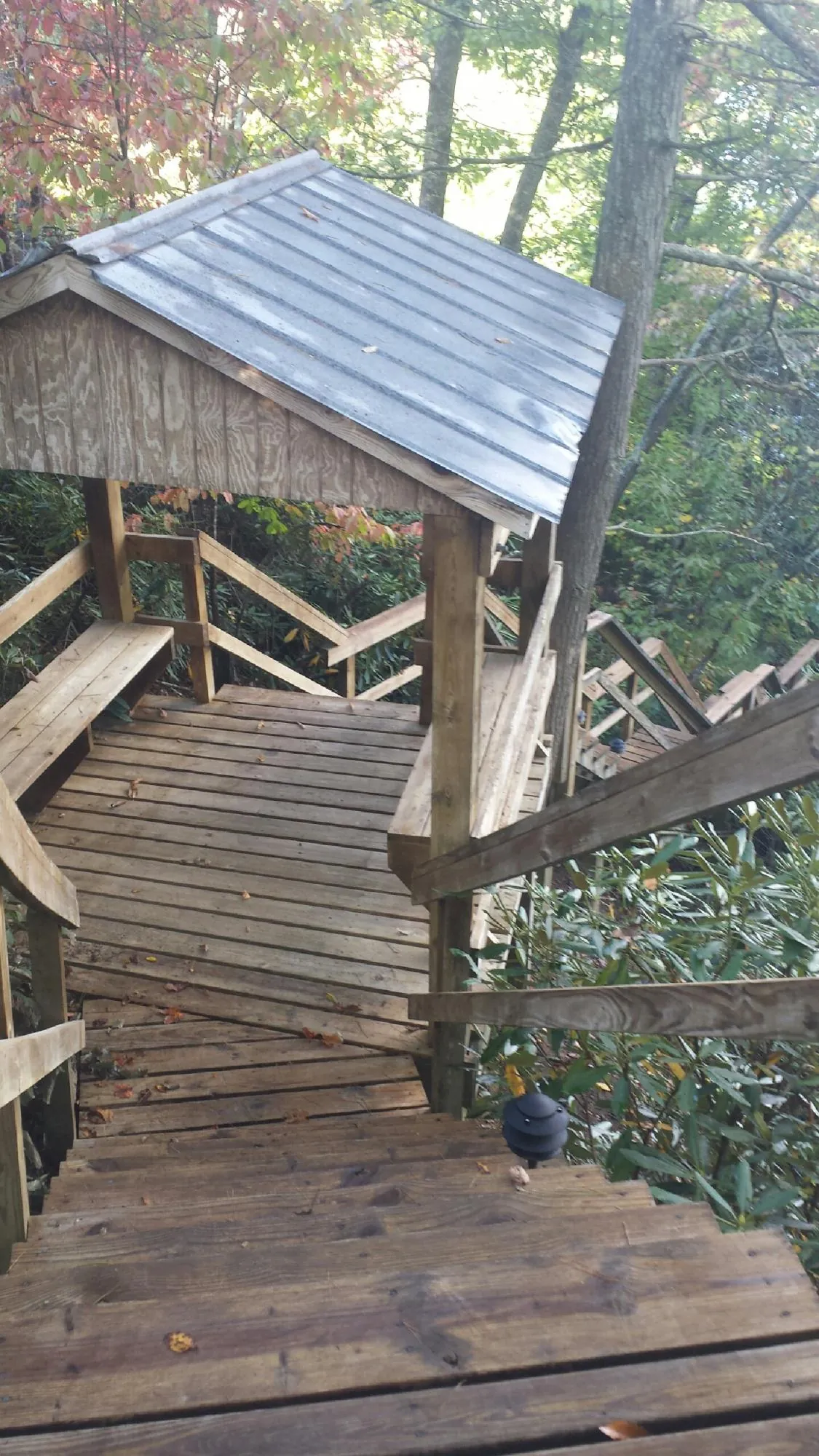 Metal roofed shelter over wooden steps on a wooded walkway — Skylight Repair & Installation work by our crew in Balsam Grove
