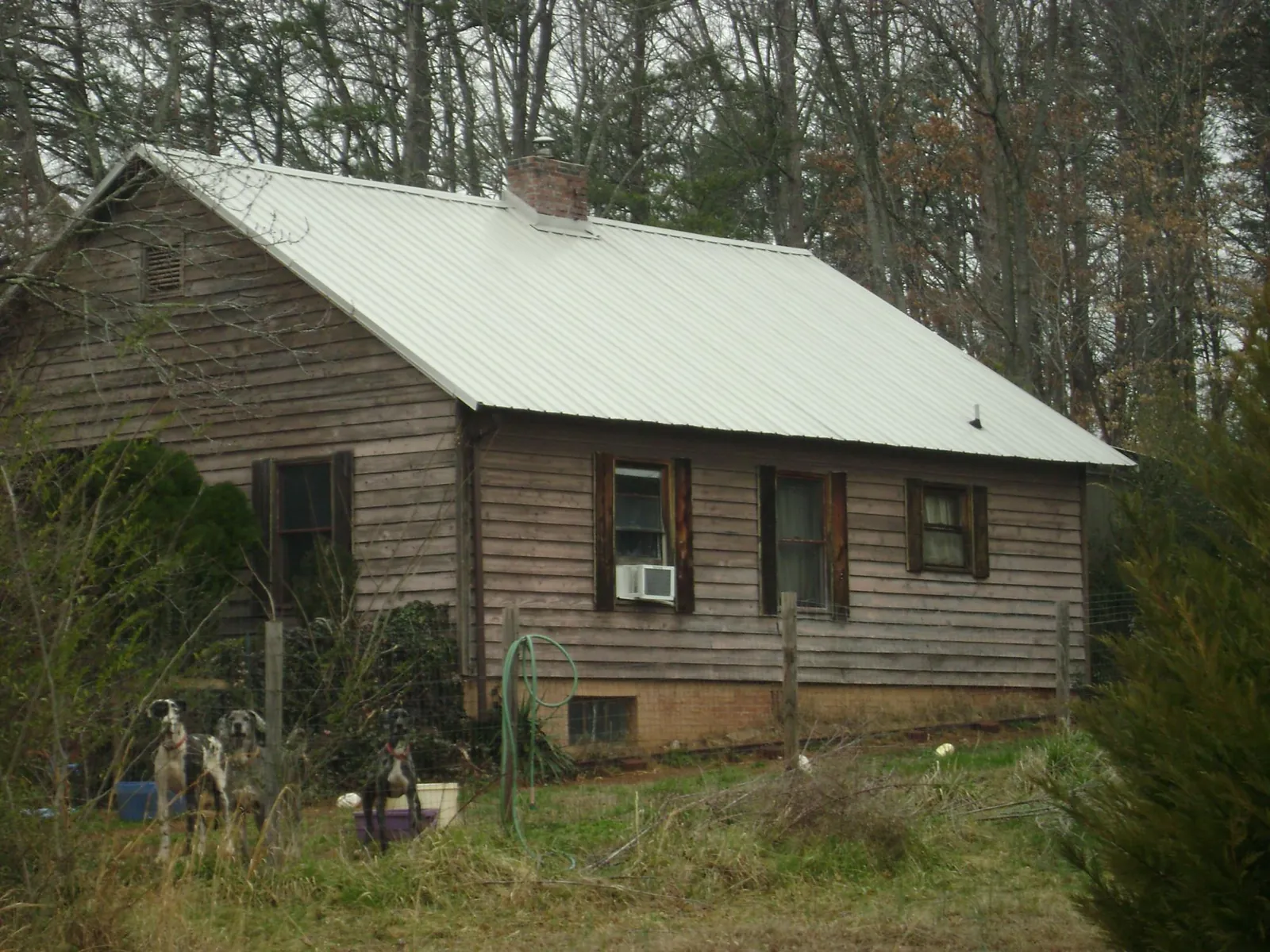 White metal roof on an old wood sided farmhouse, from a Asphalt Shingle Roof Repair job in Balsam Grove